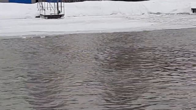 ОБЗОР АКВАТОРИИ 1-М ВИПА РК"ФИШКА"ПЕТРЯИХА смотреть онлайн