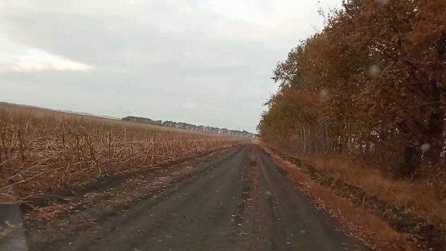 Забота о ближних. смотреть онлайн