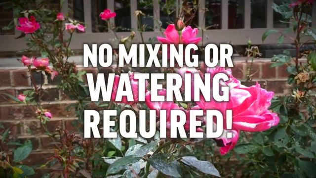 How to Kill Insects in Your Garden with Sevin Ready to Use Dust смотреть онлайн