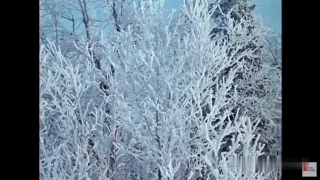 Вдоль по улице метелица метёт смотреть онлайн