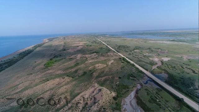 Черепаха дагестанской национальности смотреть онлайн