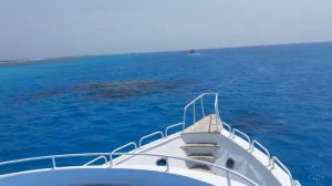 Марса Алам. Моская экскурсия в Марса Мубарак.