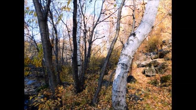 " Осеняя Никишиха " (Забайкальский край.) смотреть онлайн