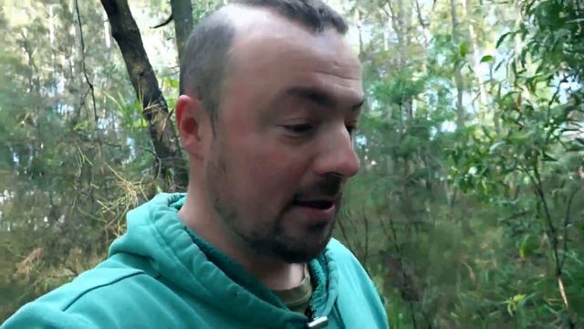 Медкомиссия и собеседование на работу в Австралии смотреть онлайн