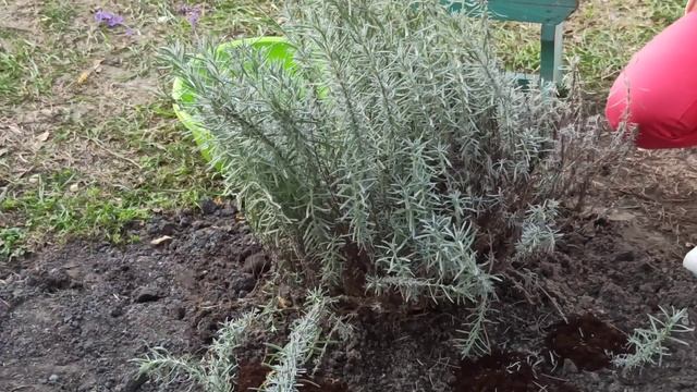 Домовладелец Pro