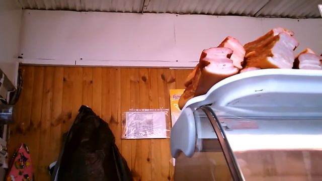 Видеокамера Toshiba Camileo B10 Тест