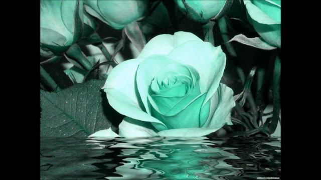 Слайд шоу. Андрей Заря- Листья смотреть онлайн