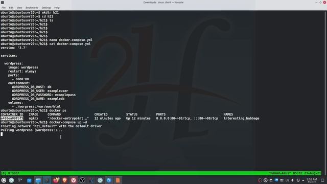 Using Docker Compose - Wordpress смотреть онлайн
