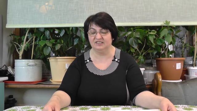 Сказки для Тимоши "Мойдодыр" - видеосказки для малышей читает Ольга Пряникова смотреть онлайн