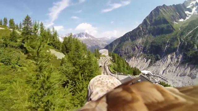 ПОЛЁТ с точки зрения ОРЛА смотреть онлайн