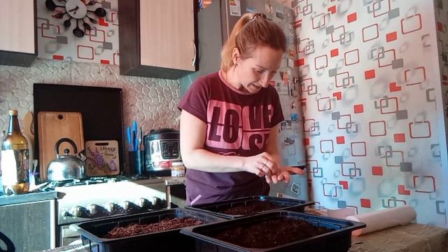 КАК ПОСАДИТЬ БАРХАТЦЫ#МОИ СЕКРЕТЫ#СКОРО ДАЧА смотреть онлайн