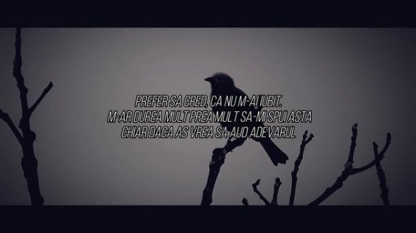 Yenic - "O iubire pierduta" (Lyrics Video)