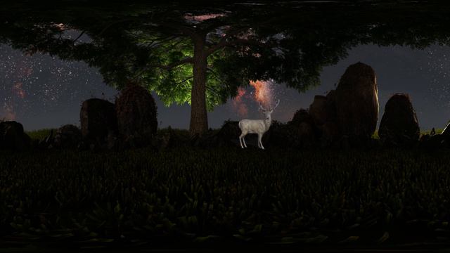 VR Meditation Tree of Life 🧘♀️ Relaxing Smooth Jazz and Rain Ambience 🌳 смотреть онлайн