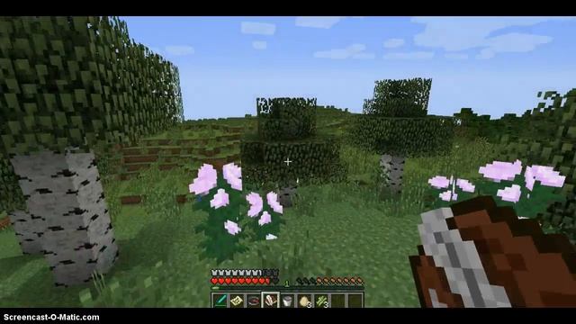 Minecraft Family: episode 1 exploring смотреть онлайн
