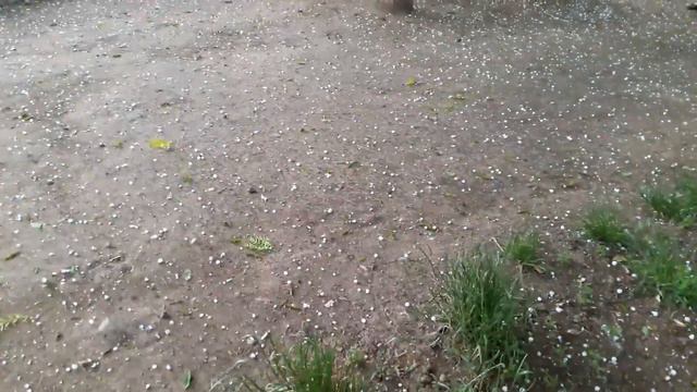 ❒ Фестиваль Клубники 2017 и ГРАД в Одессе / Strawberry Festival And Hail In Odessa