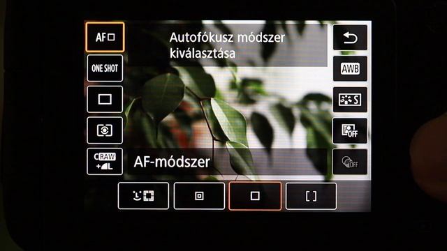 Canon EOS 90D élőképes fókuszmódok (LiveView focus modes) смотреть онлайн