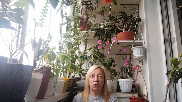 Про моё хобби. Болталка. Растения дома. смотреть онлайн