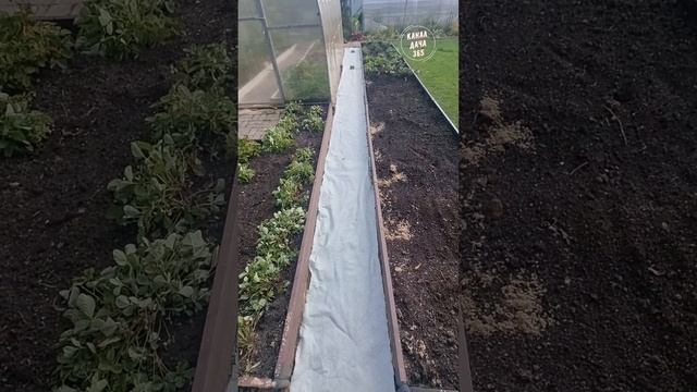 Садовые дорожки между грядок из цветного щебня смотреть онлайн