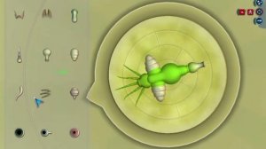 Как открыть секретный редактор клетки в Spore?