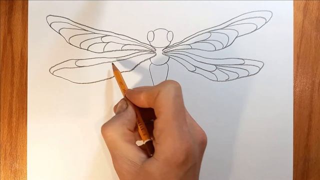 Как нарисовать стрекозу / рисунки для срисовки / how to draw a dragonfly. смотреть онлайн