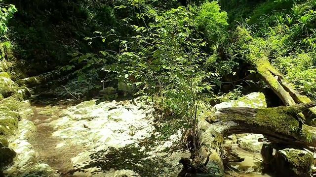 Абхазия. Каньон Анхуа (Зеленый). 18.06.2022 смотреть онлайн