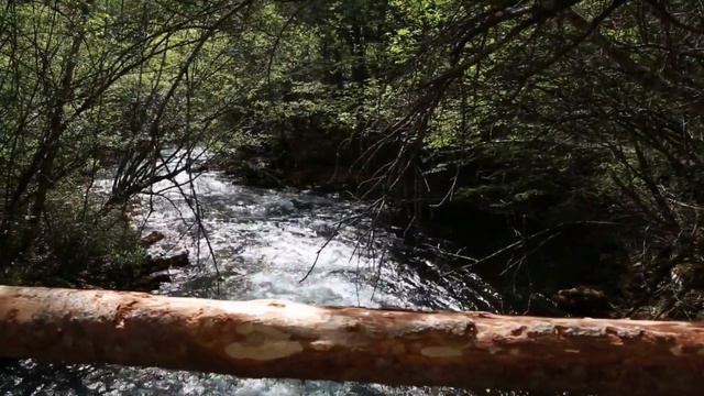 Dan Gibson’s Solitudes - So Softly Flows | Dreaming by the Stream смотреть онлайн