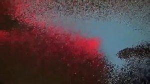 Киматика Кеничи Канадзавы