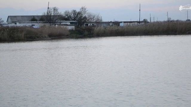 130 000 сеголеток запущено в озеро байсерке-2 смотреть онлайн