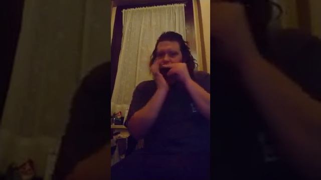 Bayrische volksmusik смотреть онлайн