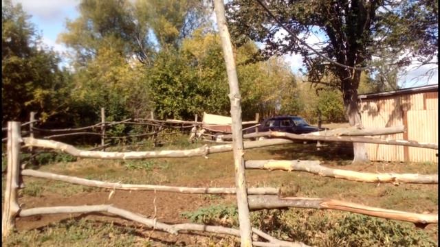 бесплатное зерно гребем лопатой, сколько зерна в бесплатных отходах, затарились по полной смотреть онлайн