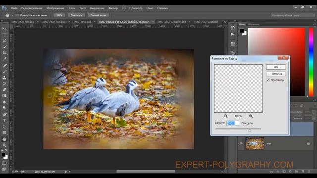 Как сделать размытие в Photoshop. Самые распространенные эффекты. смотреть онлайн
