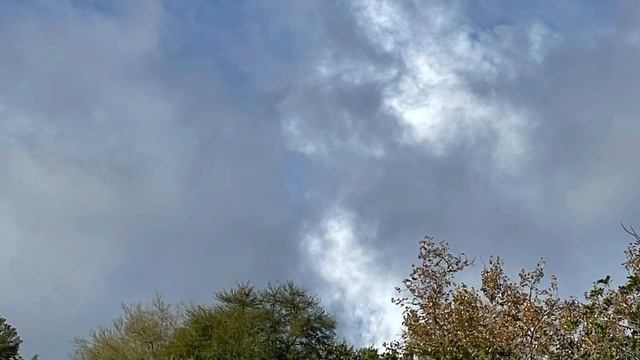 Я вернулась к тебе мой стих ..Облако , как голова Пегаса … смотреть онлайн