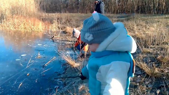 Речка замерзает .Рыбаки и помощь птицам. смотреть онлайн