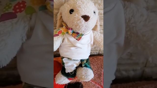 смешной стих про зайку смотреть онлайн