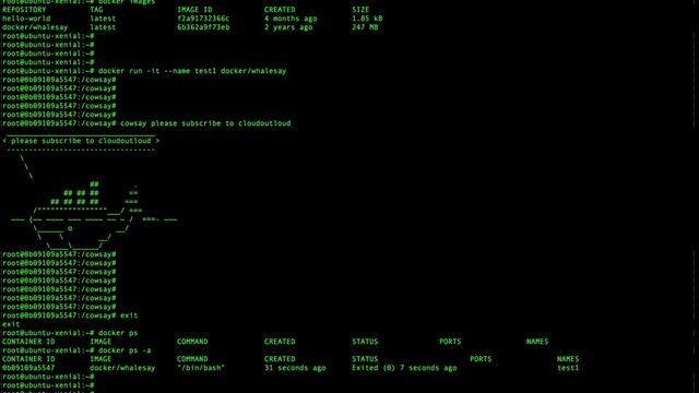 Basic Docker commands смотреть онлайн