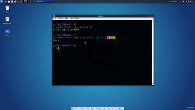 2.10. Kali Linux CLI - Text Searching and Manipulation смотреть онлайн