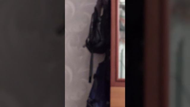 Крыска Корочка уже под потолком! ? смотреть онлайн