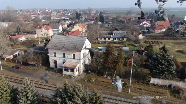 Pigeons attack on drone (three times) смотреть онлайн
