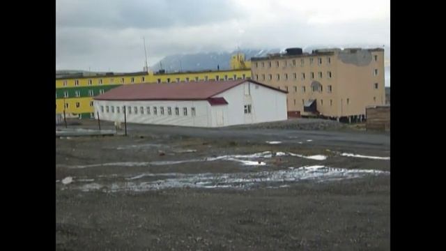 новая земля-животный мир смотреть онлайн