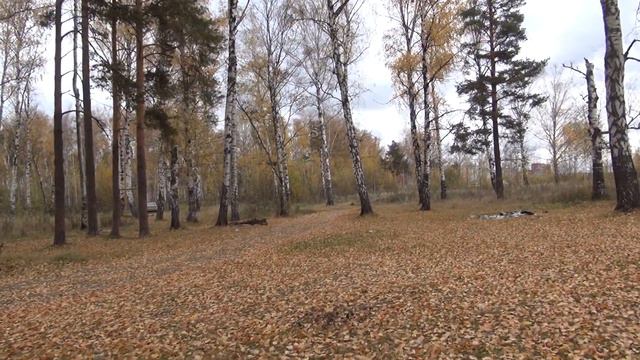 Прогулка Oct.2016-part-7. A walk through a russian city. Nizhny Novgorod. смотреть онлайн