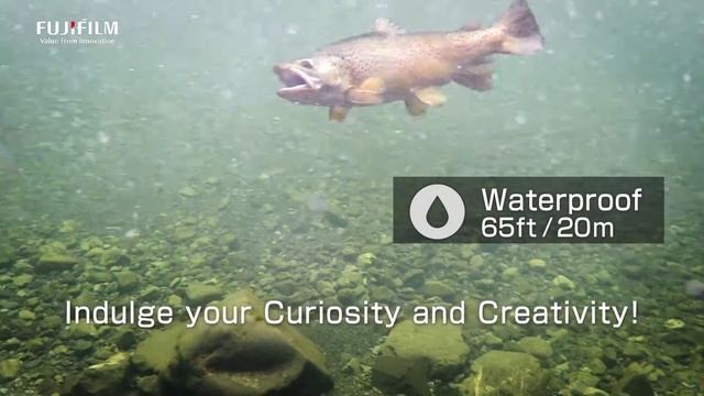 FUJIFILM FinePix XP120 Promotional Video Delphinas 30s смотреть онлайн