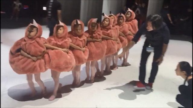 Hong Kong Ballet Taiwan Tour- Baby Flamingos смотреть онлайн