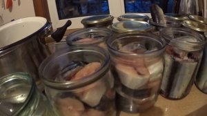 Сайра и Скумбрия ,  домашние консервы