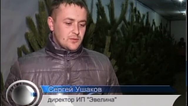 Как выбрать елку Рус смотреть онлайн