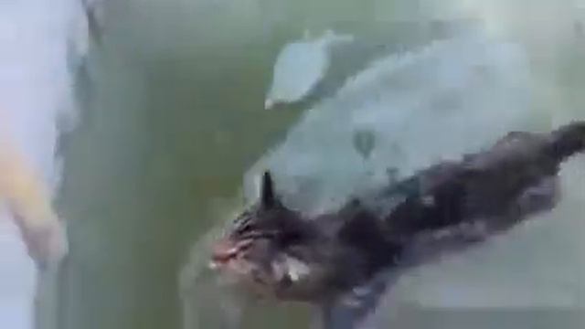 Будущая техника: взгляд изнутри