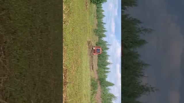 Т-25 грабли смотреть онлайн