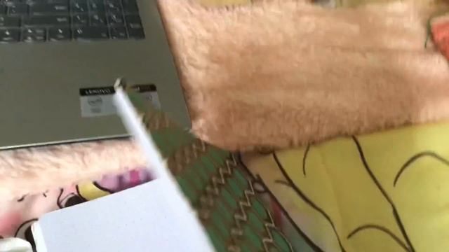 Notebook About Netbook year 2021 2022 Love ❤️ смотреть онлайн
