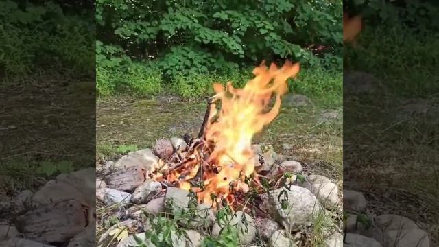 Роберт Адамс. Как избавиться от негативных привычек? смотреть онлайн