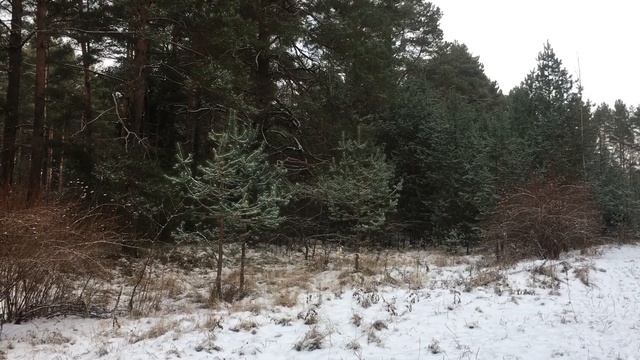 21 декабря в день ЗИМНЕГО СОЛНЦЕСТОЯНИЯ успейте загадать желание и избавиться от ненужного смотреть онлайн