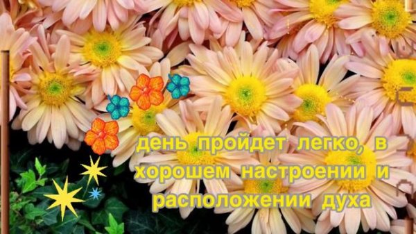 Доброе Утречко🌺 и Хорошего Дня!☀️